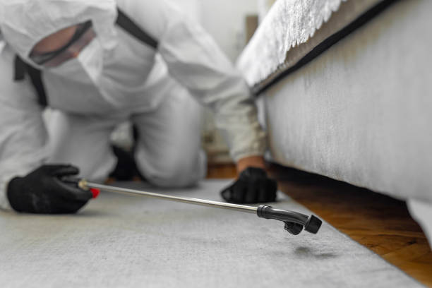 Professional Bed Bug Control technician working in Coshocton, OH