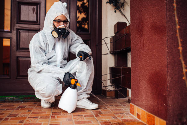 Reliable Bed Bug Control contractor in Coshocton, OH by Nex Pest Control